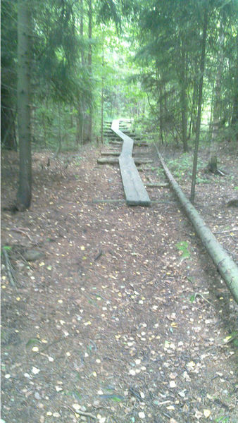 File:Trail-Example-Duckboard-beginning.jpg