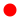 Red dot without background.svg