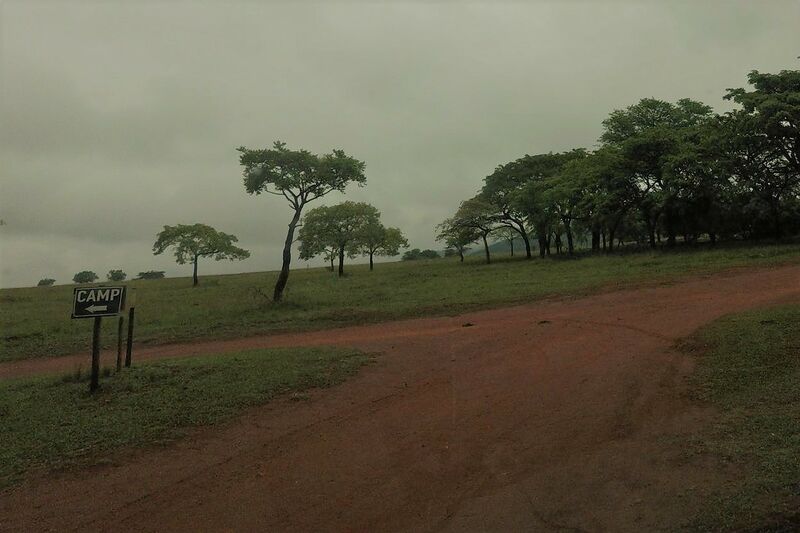 File:ESwatini wildlife road v2.jpg