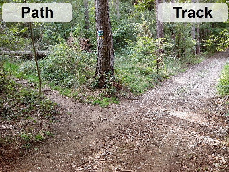 File:Track-path-002.jpg