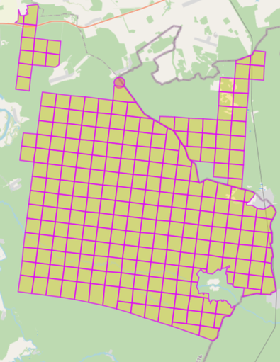 Forestry grid.png