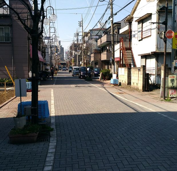 File:Jp street sakura.jpg