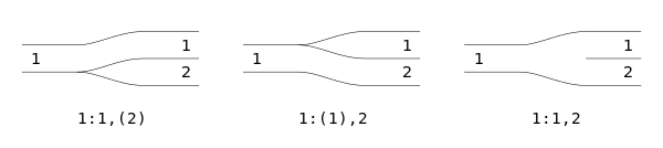 Connectivity and marking variants.svg