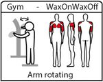 Arm rotation-pictogram.jpg
