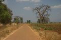 Unclassified road near Salima