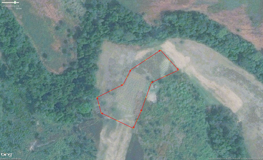 An example of cassava, also known as manioc, cultivation in West Africa. The main identifying feature are the collection of rounded shapes of 1 to 1.5 meters across arranged tightly but irregularly. Green areas are new and growing plants and brown areas are harvested.