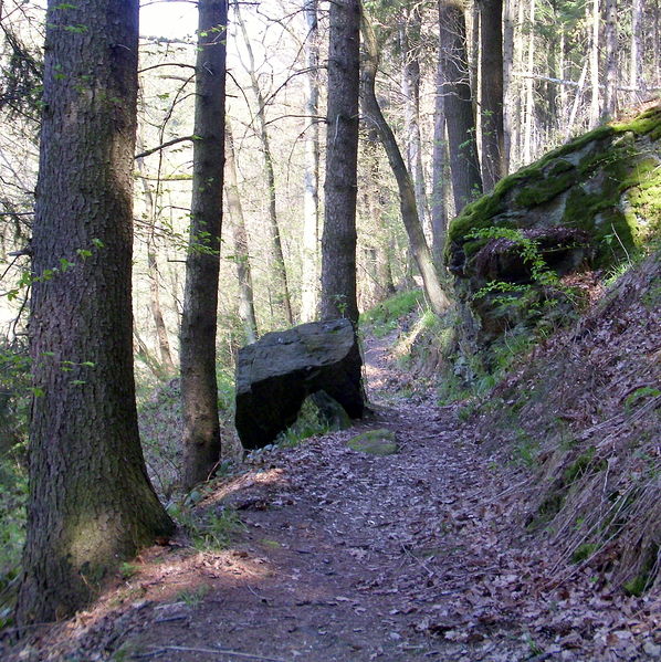 File:Felseinengung Wanderweg (Pfad) am Tännichgrund der Talsperre Malter.jpg