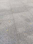 Large smooth granite paving stones.jpg