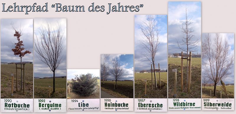 File:2014 Lehrpfad Baum des Jahres Teil 1990-1999 bei Bannewitz.jpg