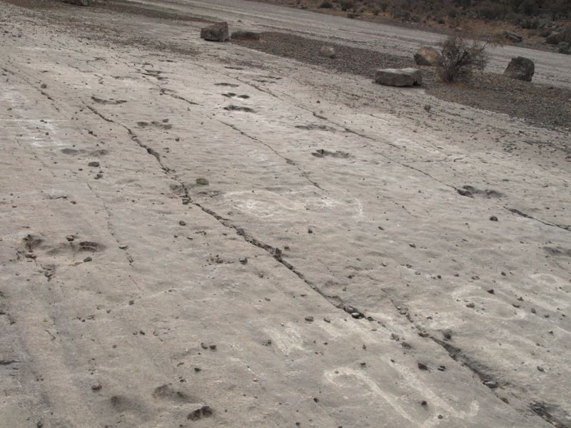 File:Koytendag-Lebap-Turkmenistan-dinosaur-footprints.JPG
