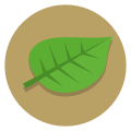 StreetComplete quest leaf.svg