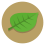 a green (broad) leaf on a brown background