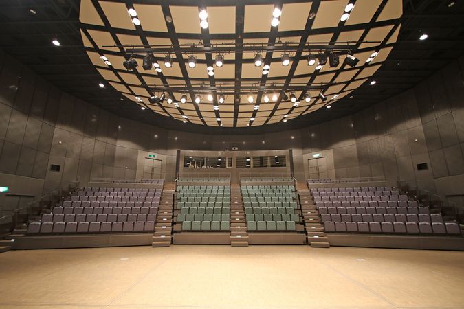 Auditorium: capacity 310 (max 460)