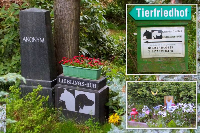 File:2014 Reinberg Tierfriedhof Lieblings-Ruh.jpg