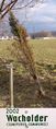 2002 Baum des Jahres - Wacholder.jpg