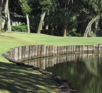 Water hazard (golf) red stakes.jpg