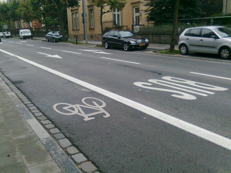 File:Oneway=yes cycleway=lane.jpg
