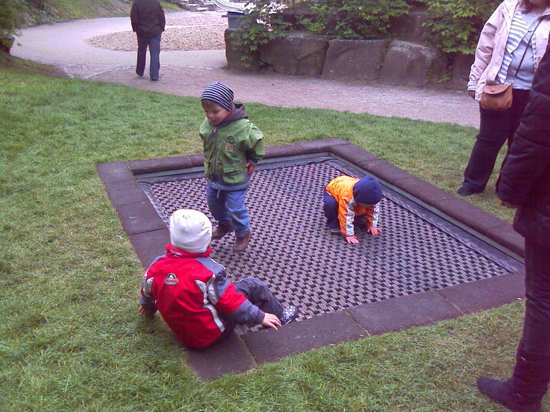 File:Accessible trampoline.jpg