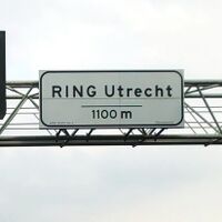 NL Ring 1a.jpeg