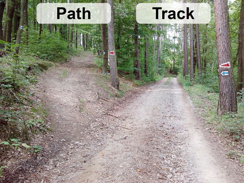 File:Track-path-001.jpg