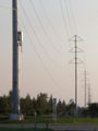 A SMUD dual-circuit 230 kV line on tubular steel poles.