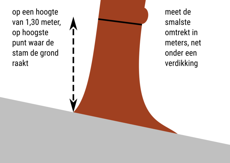 File:Circumference-nl.png