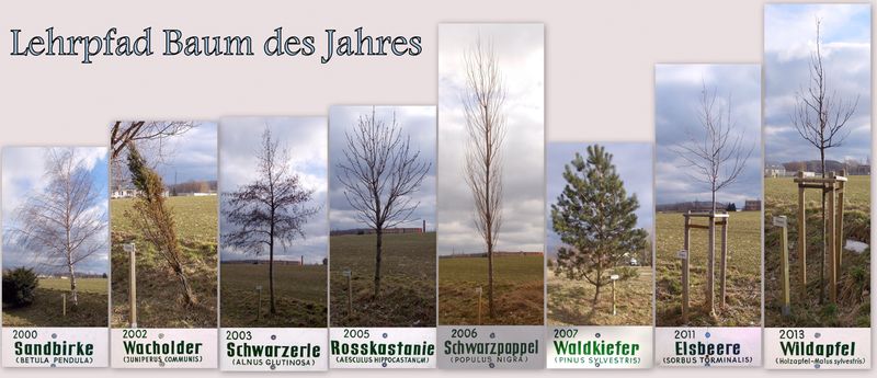File:2014 Lehrpfad Baum des Jahres Teil 2000-2013 bei Bannewitz.jpg