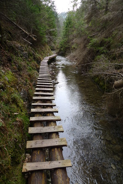 File:Ladder bridge.jpg
