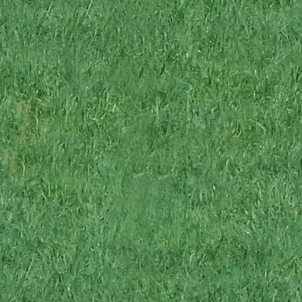 File:Grass-2048.JPG