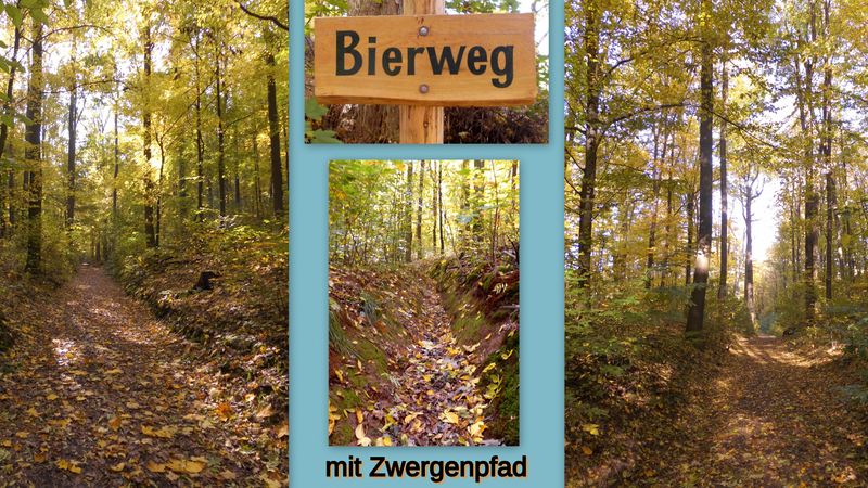 File:2019 Freital Zauckerode Bierweg mit Zwergenpfad.jpg