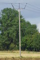 132kVの電力線を支える木の「三叉」の電柱