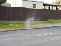 Geothermal steam rising out of a storm drain.