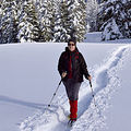 Snowshoe trail.jpg Item:Q5597
