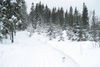 Nordic Cross Country Ski Track.jpg