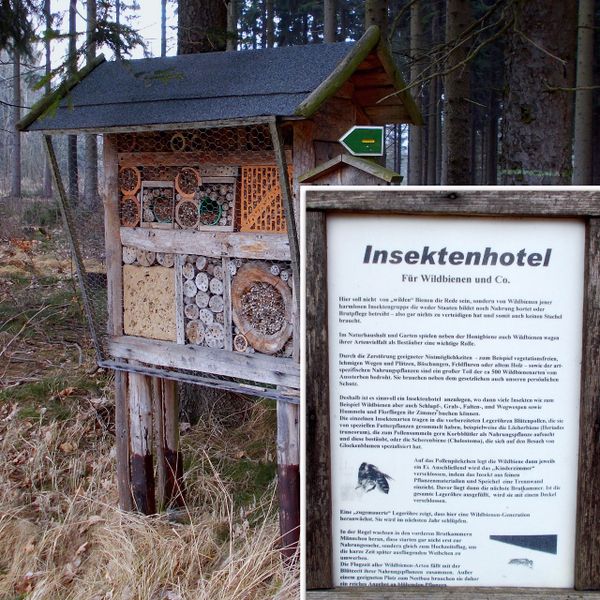File:2014 Insektenhotel am Wanderweg bei Rammenau.jpg
