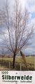 1999 Baum des Jahres - Silberweide.jpg