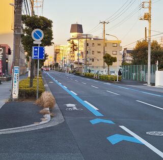 Bicycle lane on Niihama dori Ichikawa Japan.jpg