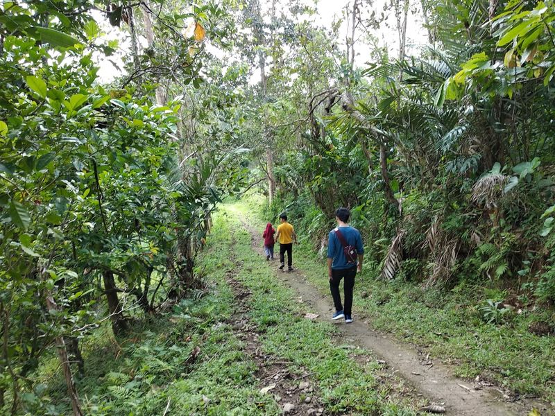 File:Path (Desa Lanna, Kec. Parangloe, Kab. Gowa).jpeg