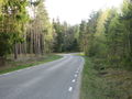 Road in Sweden at Ugglum.jpg