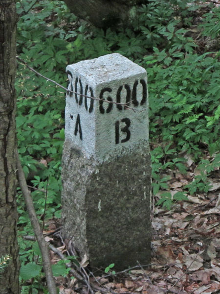 File:Białowieża Forest Compartment Marker.jpg