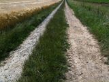 surface=gravel und surface:middle=grass