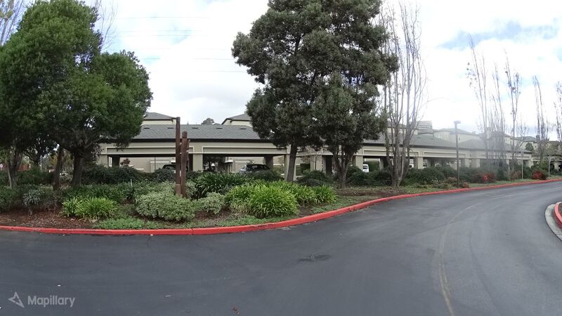 File:Medium dense shrubbery San Mateo.jpg
